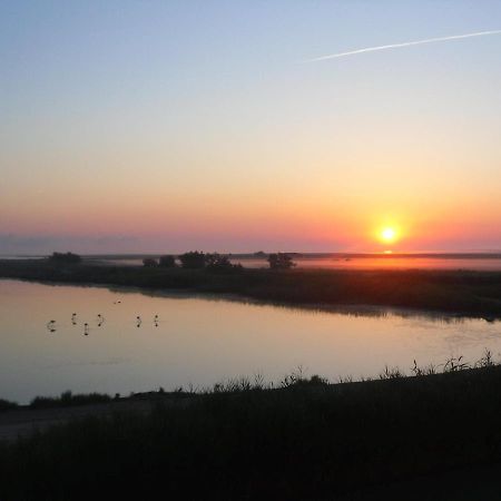 Chambre Les Flamants, Avec Vue Imprenable Sur Les Etangs, Les Oiseaux, La Nature, Petit Dejeuner Compris Saintes-Maries-de-la-Mer Eksteriør bilde