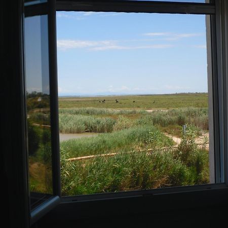 Chambre Les Flamants, Avec Vue Imprenable Sur Les Etangs, Les Oiseaux, La Nature, Petit Dejeuner Compris Saintes-Maries-de-la-Mer Eksteriør bilde