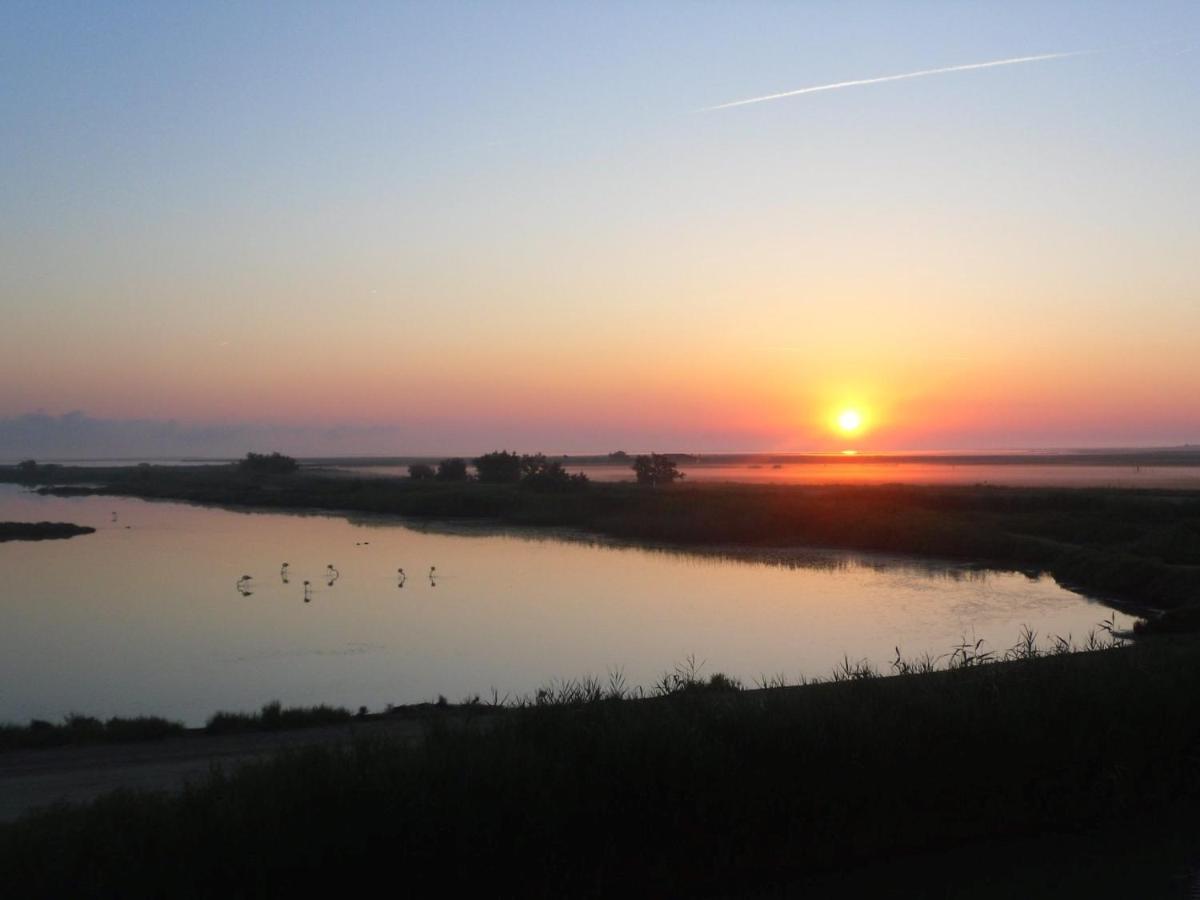 Chambre Les Flamants, Avec Vue Imprenable Sur Les Etangs, Les Oiseaux, La Nature, Petit Dejeuner Compris Saintes-Maries-de-la-Mer Eksteriør bilde