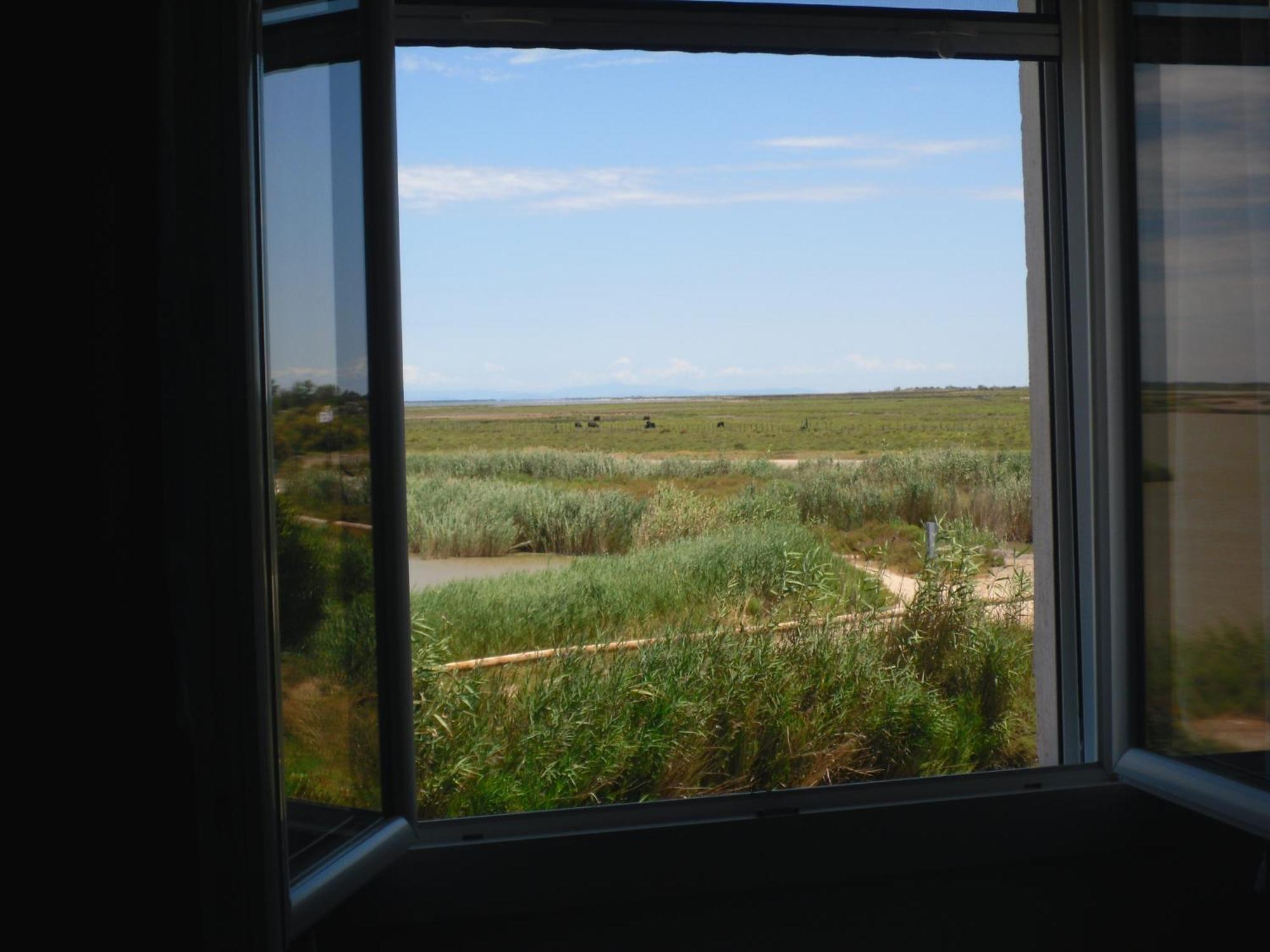 Chambre Les Flamants, Avec Vue Imprenable Sur Les Etangs, Les Oiseaux, La Nature, Petit Dejeuner Compris Saintes-Maries-de-la-Mer Eksteriør bilde